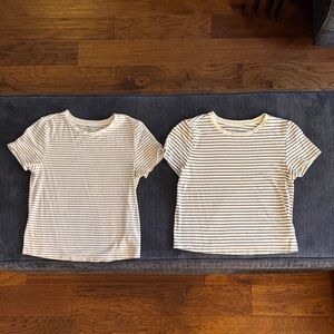 Striped women’s t-shirts- Brown and Black